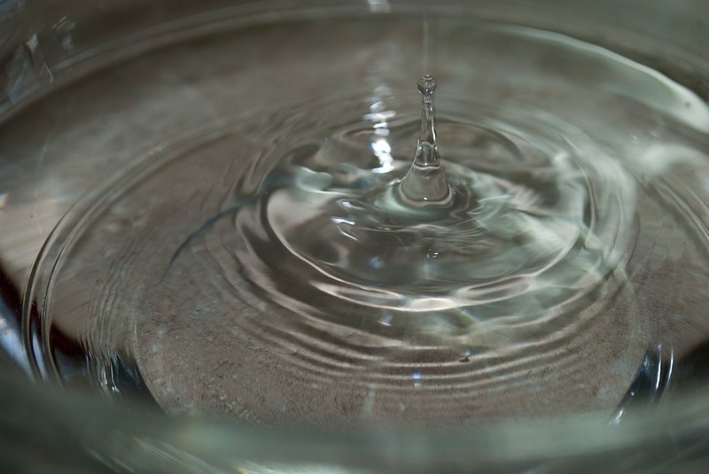 Los hidrolatos… esos grandes desconocidos